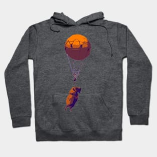 Flying Goat Hoodie